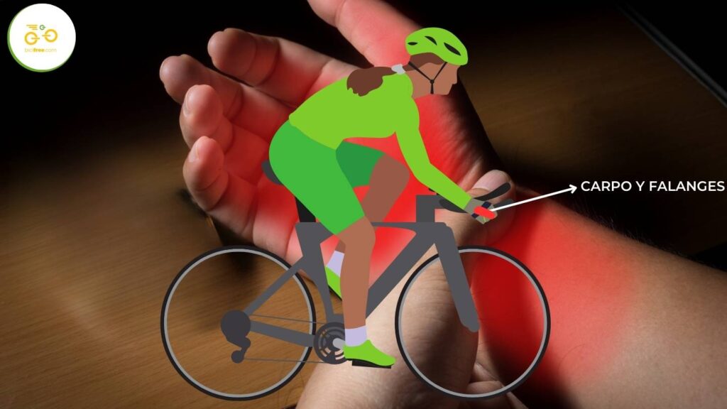 Lesiones en ciclismo: mano y dedos (carpo y falanges)