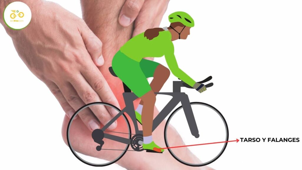 Lesiones de ciclismo más comunes: el tarso y las falanges